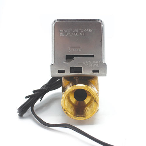 Motorized Drain Valve 1", 240/480V