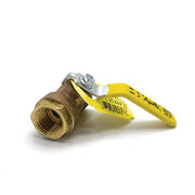 Manual Drain Valve 1/2"