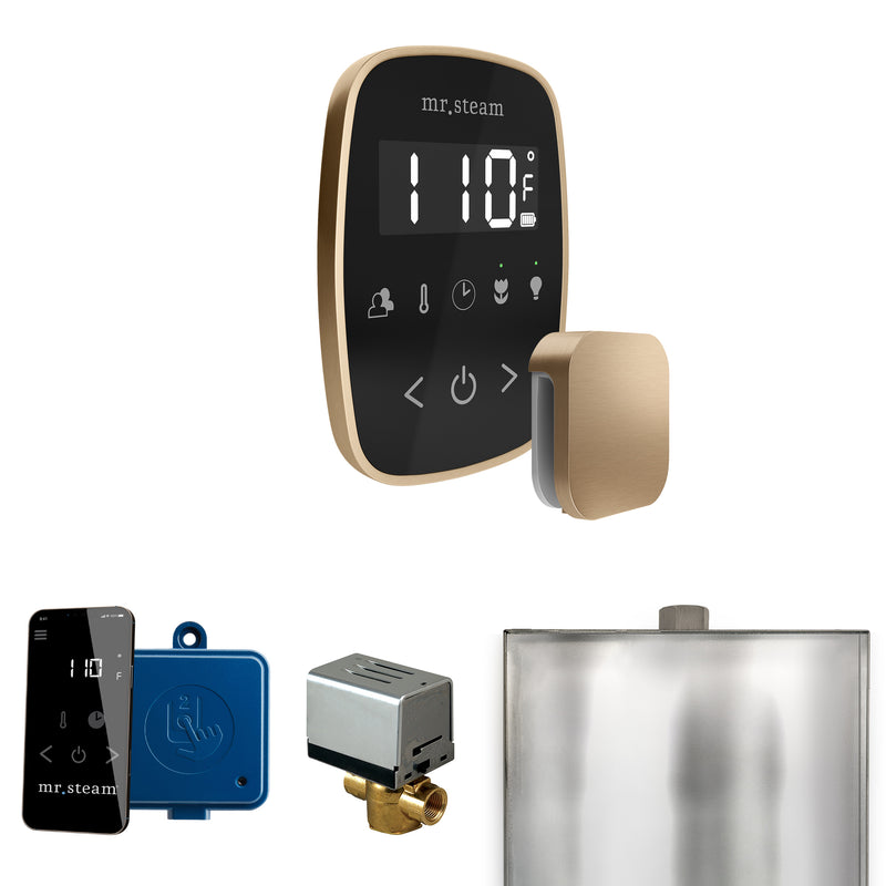 Mr. Steam ButlerFlex Steam Shower Control Package with TempoFlex Control and Steamhead — Black - Brushed Bronze