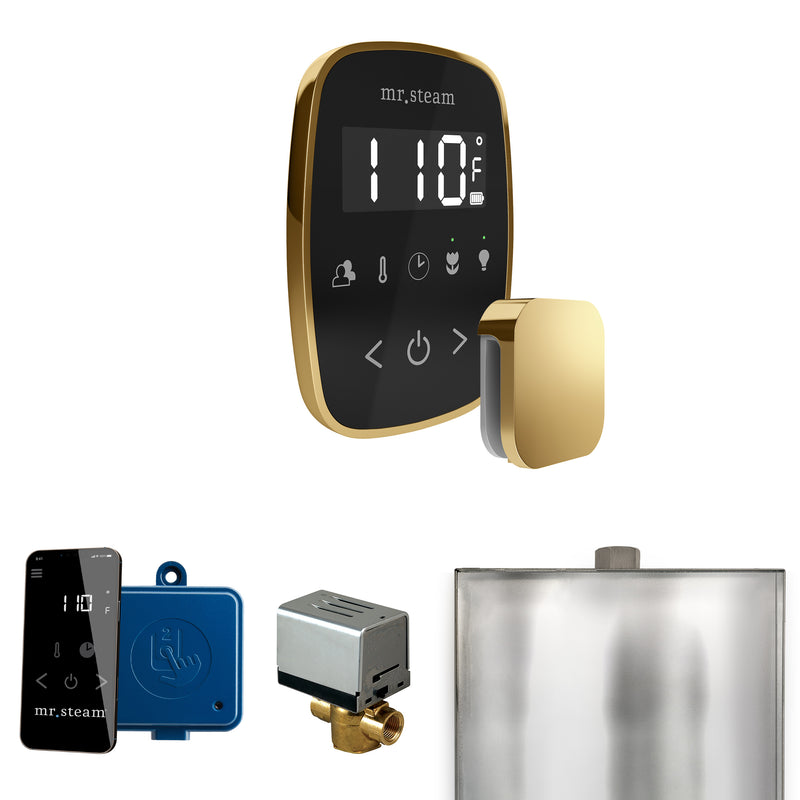 ButlerFlex Steam Shower Control Package with TempoFlex Control and Steamhead in Black Polished Brass — Black - Polished Brass