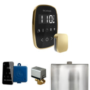 ButlerFlex Steam Shower Control Package with TempoFlex Control and Steamhead in Black Satin Brass — Black - Satin Brass