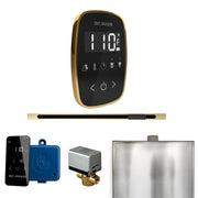 ButlerFlex Steam Shower Control Package with TempoFlex Control and Linear Steamhead in Black Polished Brass — Black - Polished Brass