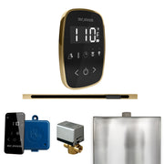ButlerFlex Steam Shower Control Package with TempoFlex Control and Linear Steamhead in Black Satin Brass — Black - Satin Brass