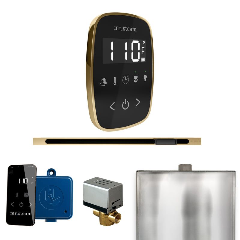 ButlerFlex Steam Shower Control Package with TempoFlex Control and Linear Steamhead in Black Satin Brass — Black - Satin Brass