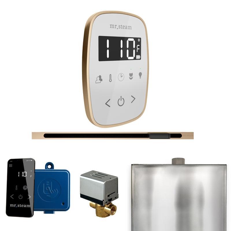 ButlerFlex Steam Shower Control Package with TempoFlex Control and Linear Steamhead in White Brushed Bronze — White - Brushed Bronze