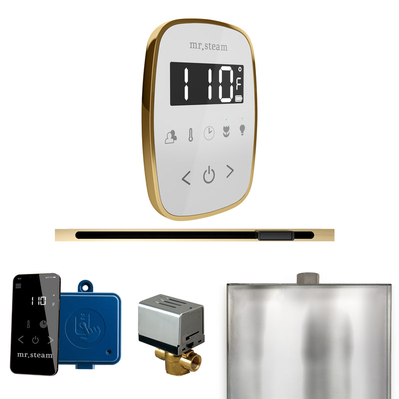 ButlerFlex Steam Shower Control Package with TempoFlex Control and Linear Steamhead in White Polished Brass — White - Polished Brass