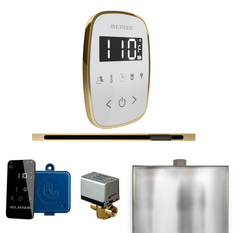 ButlerFlex Steam Shower Control Package with TempoFlex Control and Linear Steamhead in White Satin Brass — White - Satin Brass