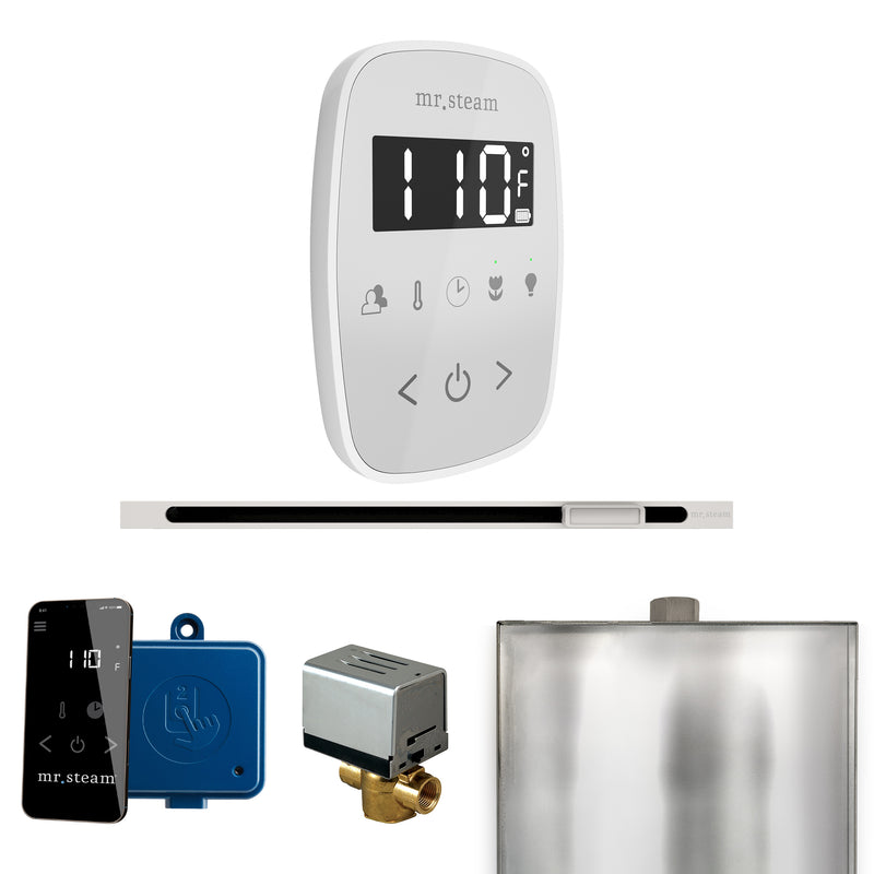 ButlerFlex Steam Shower Control Package with TempoFlex Control and Linear Steamhead in White — White - White