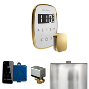 ButlerFlex Steam Shower Control Package with TempoFlex Control and Steamhead in White Polished Brass — White - Polished Brass