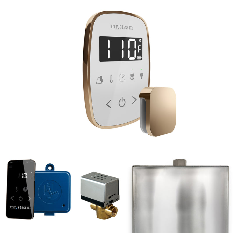 ButlerFlex Steam Shower Control Package with TempoFlex Control and Steamhead in White Polished Gold — White - Polished Gold