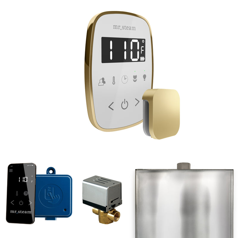 ButlerFlex Steam Shower Control Package with TempoFlex Control and Steamhead in White Satin Brass — White - Satin Brass