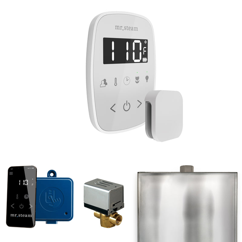 ButlerFlex Steam Shower Control Package with TempoFlex Control and Steamhead in White — White - White