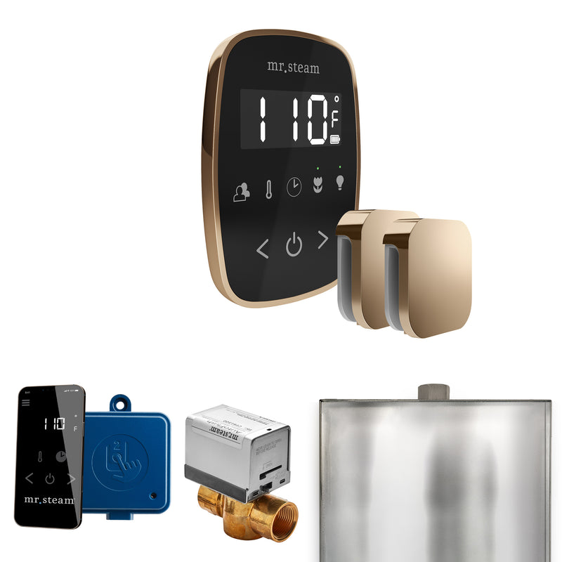 ButlerFlex Max Steam Shower Control Package with TempoFlex Control and Steamhead in Black Polished Gold — Black - Polished Gold