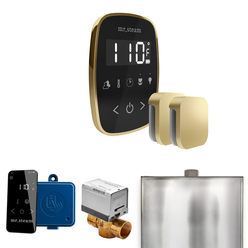 ButlerFlex Max Steam Shower Control Package with TempoFlex Control and Steamhead in Black Satin Brass — Black - Satin Brass