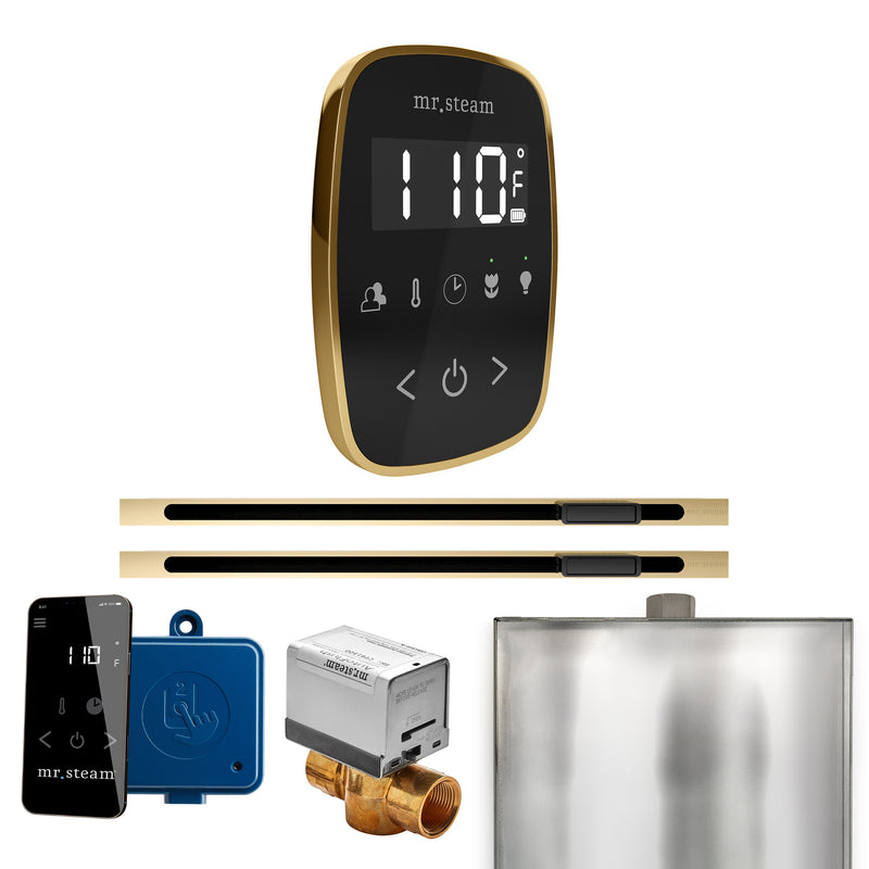 ButlerFlex Max Steam Shower Control Package with TempoFlex Control and Linear Steamhead in Black Polished Brass — Black - Polished Brass