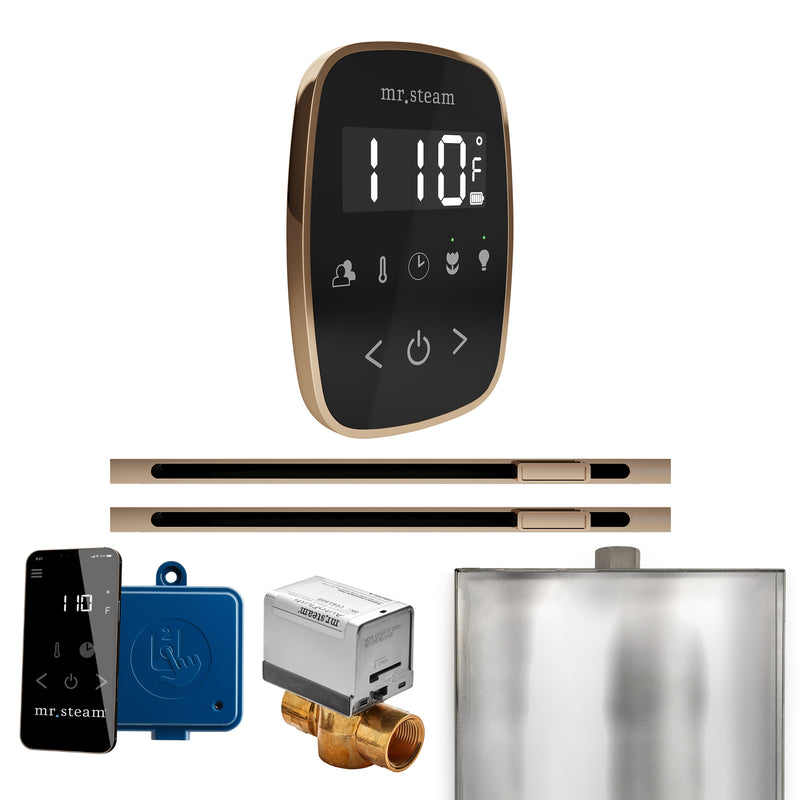 ButlerFlex Max Steam Shower Control Package with TempoFlex Control and Linear Steamhead in Black Polished Gold — Black - Polished Gold