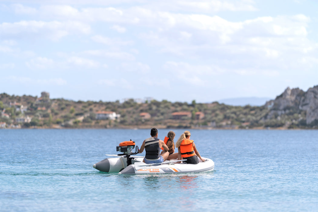 DELUXE U-TYPE BT-UD298 Yacht Tender with DWF Air Deck