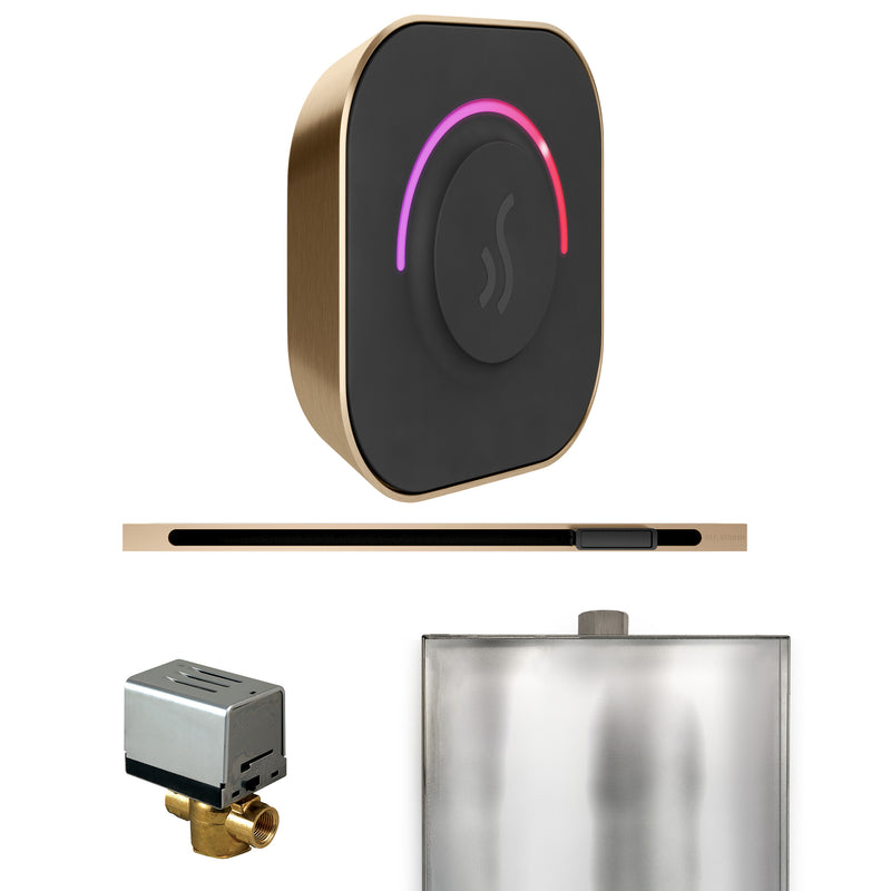 Mr. Steam ButlerTouch Steam Shower Control Package with TempoTouch Control and Linear Steamhead — Brushed Bronze