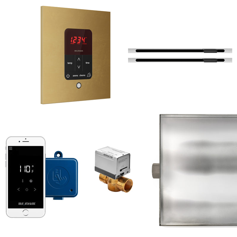 Mr. Steam MSITPLUS Operating Package for MAX Series