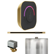 ButlerTouch Steam Shower Control Package with TempoTouch Control and Linear Steamhead in Satin Brass — Satin Brass
