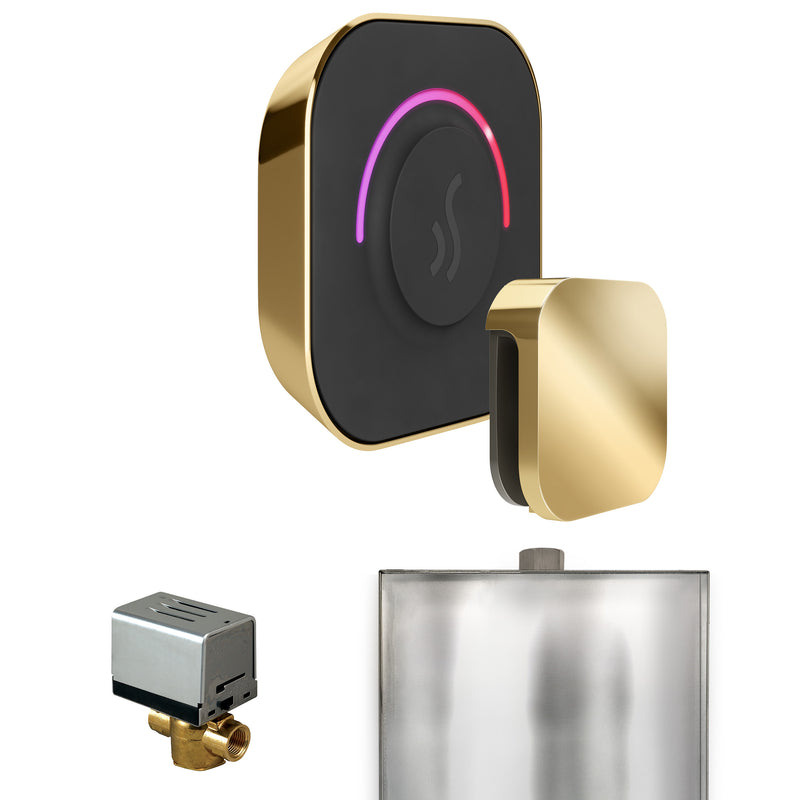 ButlerTouch Steam Shower Control Package with TempoTouch Control and Steamhead in Polished Brass — Polished Brass