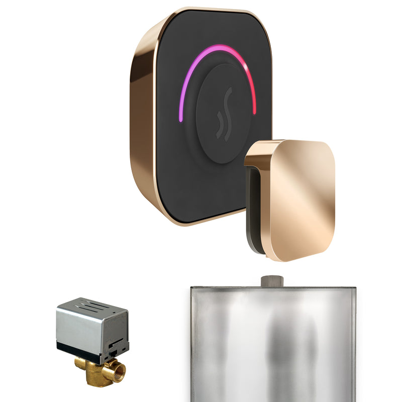 ButlerTouch Steam Shower Control Package with TempoTouch Control and Steamhead in Polished Gold — Polished Gold