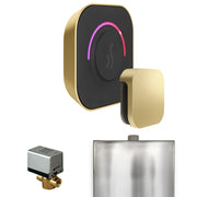 ButlerTouch Steam Shower Control Package with TempoTouch Control and Steamhead in Satin Brass — Satin Brass