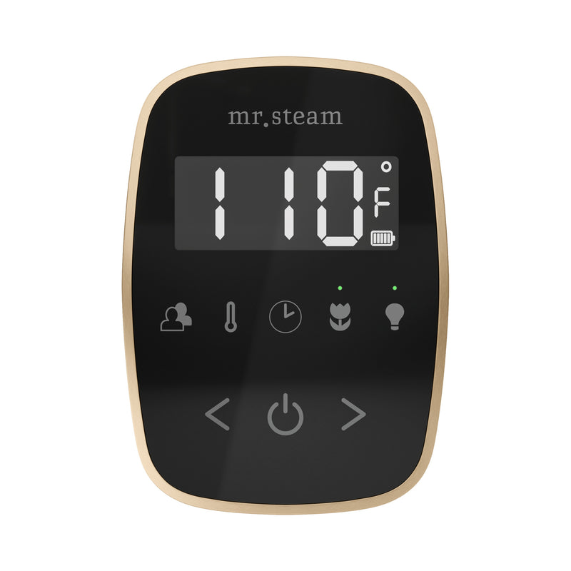 Mr. Steam ButlerFlex Steam Shower Control Package with TempoFlex Control and Linear Steamhead — Black - Brushed Bronze