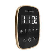 Mr. Steam TempoFlex Steam Shower Control and Steamhead — Black - Brushed Bronze