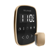 Mr. Steam TempoFlex Steam Shower Control and Steamhead — Black - Brushed Bronze