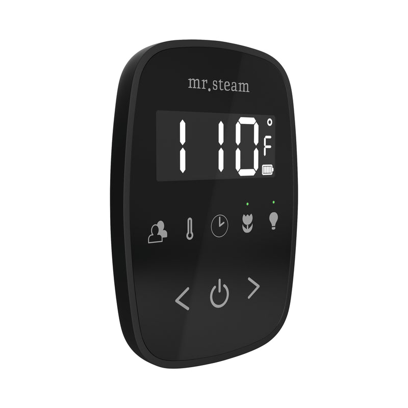 TempoFlex Steam Shower Control and Steamhead in Black Matte Black — Black - Matte Black