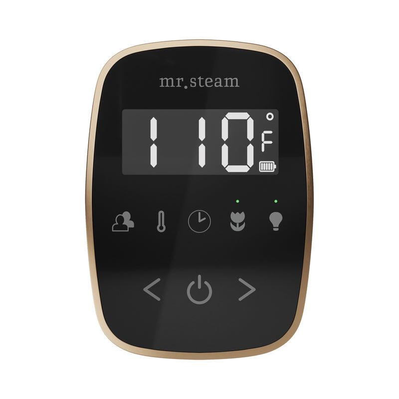 ButlerFlex Max Steam Shower Control Package with TempoFlex Control and Linear Steamhead in Black Nouveau Bronze — Black - Nouveau Bronze