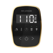 ButlerFlex Steam Shower Control Package with TempoFlex Control and Steamhead in Black Polished Brass — Black - Polished Brass