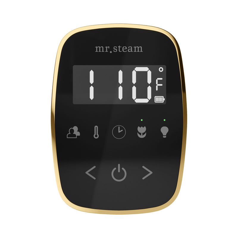 ButlerFlex Steam Shower Control Package with TempoFlex Control and Steamhead in Black Polished Brass — Black - Polished Brass