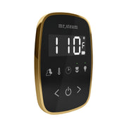 TempoFlex Steam Shower Control and Steamhead in Black Polished Brass — Black - Polished Brass
