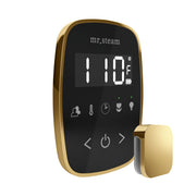 TempoFlex Steam Shower Control and Steamhead in Black Polished Brass — Black - Polished Brass