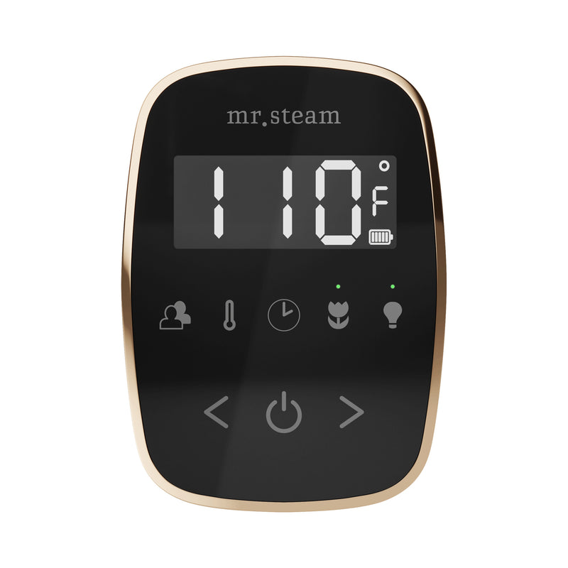 ButlerFlex Max Steam Shower Control Package with TempoFlex Control and Steamhead in Black Polished Gold — Black - Polished Gold