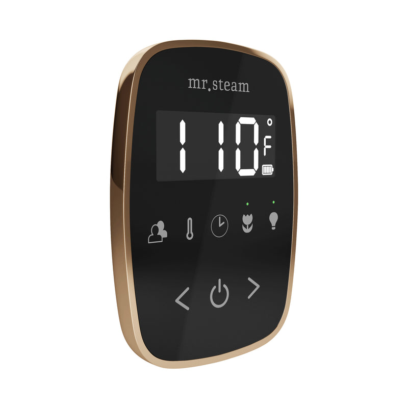 TempoFlex Steam Shower Control and Steamhead in Black Polished Gold — Black - Polished Gold