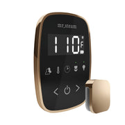 TempoFlex Steam Shower Control and Steamhead in Black Polished Gold — Black - Polished Gold
