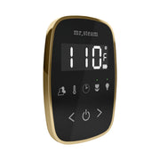 TempoFlex Steam Shower Control and Steamhead in Black Satin Brass — Black - Satin Brass