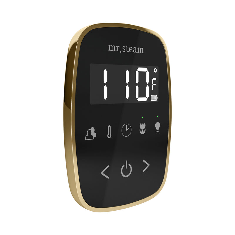 TempoFlex Steam Shower Control and Steamhead in Black Satin Brass — Black - Satin Brass