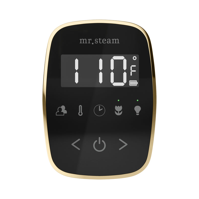 ButlerFlex Steam Shower Control Package with TempoFlex Control and Linear Steamhead in Black Satin Brass — Black - Satin Brass