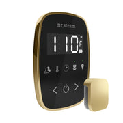 TempoFlex Steam Shower Control and Steamhead in Black Satin Brass — Black - Satin Brass