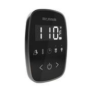 TempoFlex Steam Shower Control and Steamhead in Black Satin Steel — Black - Satin Steel