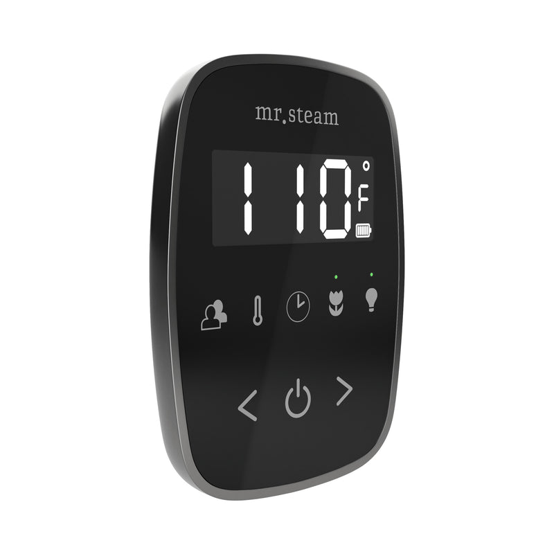 TempoFlex Steam Shower Control and Steamhead in Black Satin Steel — Black - Satin Steel