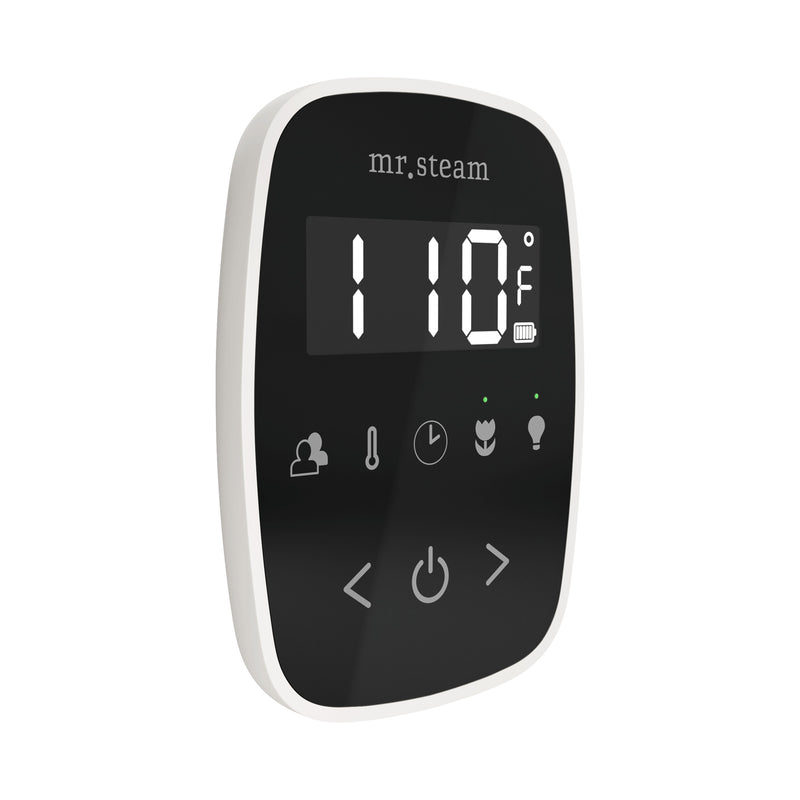 TempoFlex Steam Shower Control and Steamhead in Black White — Black - White