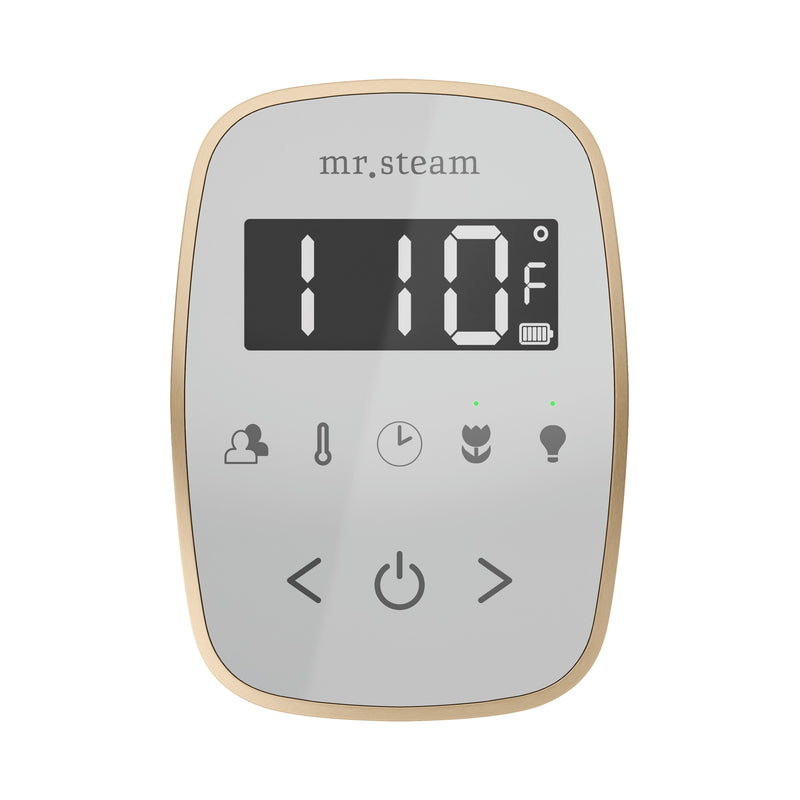 TempoFlex Steam Shower Control and Steamhead in White Brushed Bronze — White - Brushed Bronze