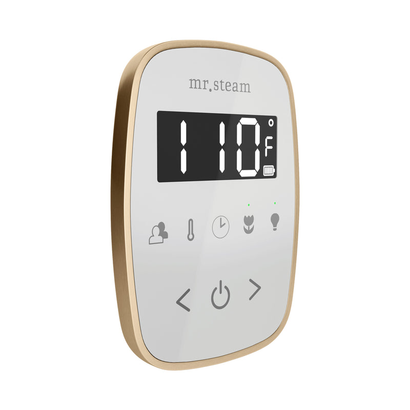 TempoFlex Steam Shower Control and Steamhead in White Brushed Bronze — White - Brushed Bronze