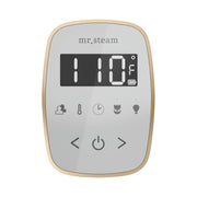 ButlerFlex Steam Shower Control Package with TempoFlex Control and Linear Steamhead in White Brushed Bronze — White - Brushed Bronze