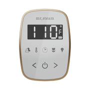 ButlerTouch Steam Shower Control Package with TempoTouch Control and Steamhead in Matte Black — Matte Black